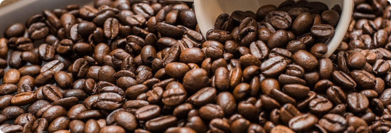 banner-image